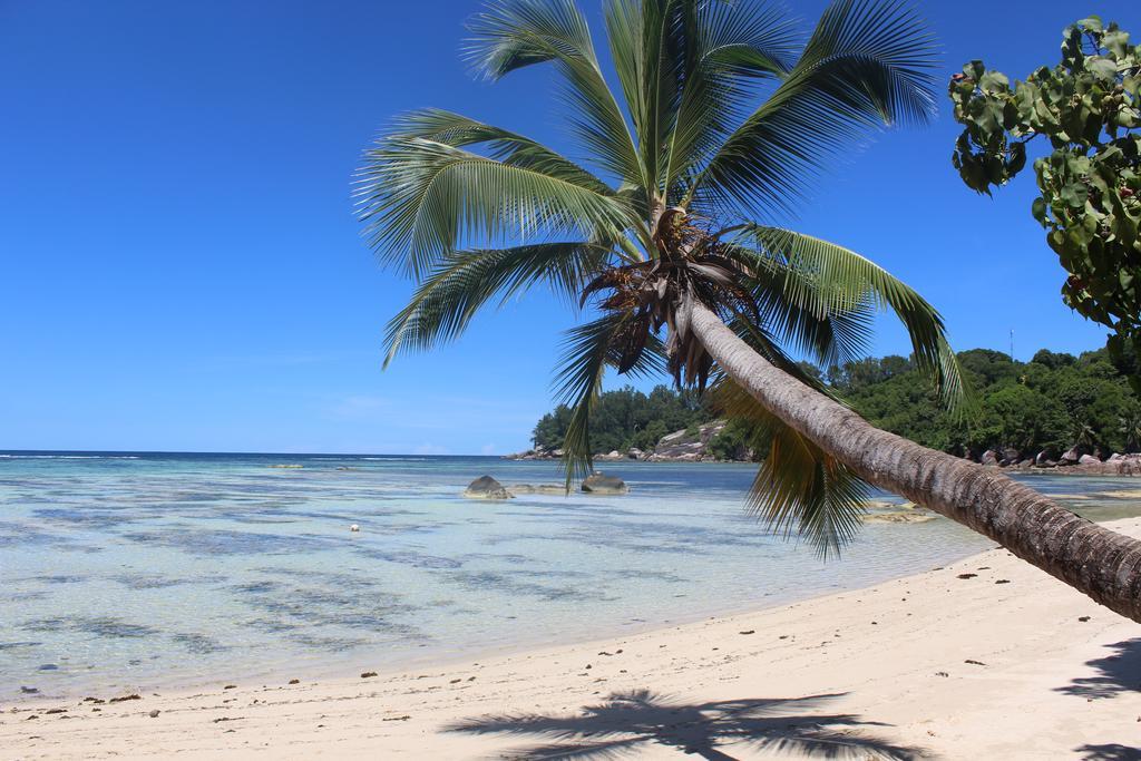 Villa Kordia Pointe Au Sel 외부 사진